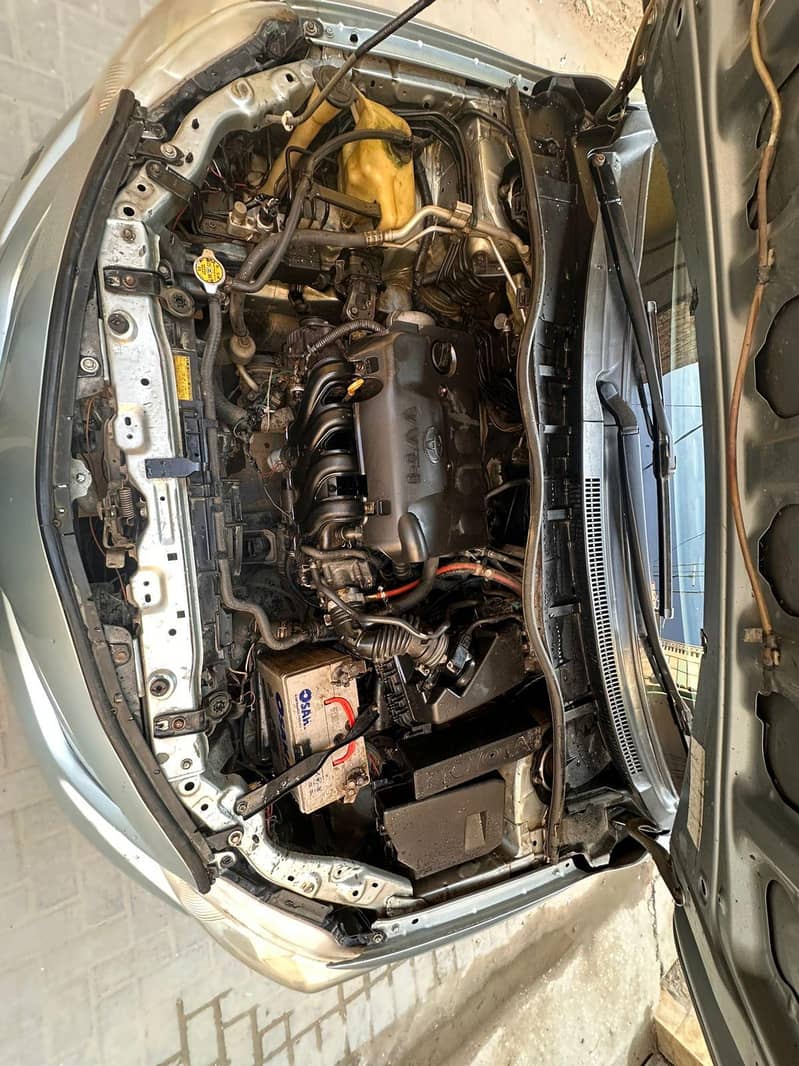 Gli 2013 ( Showered) 6