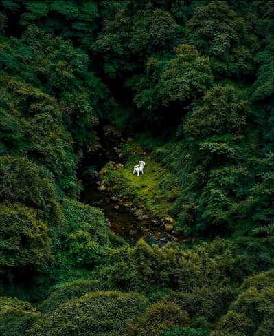 need commission based worker online for property