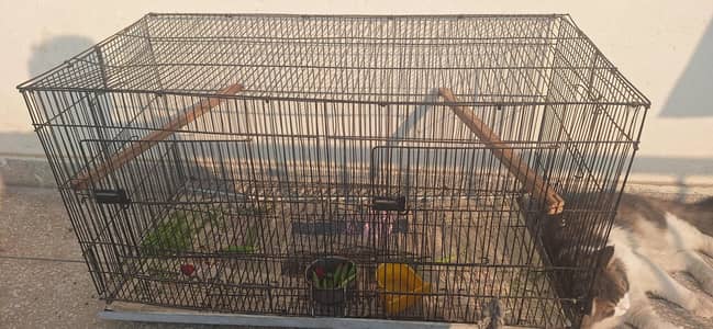 Parrot Cage