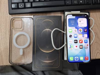 iPhone 12 Pro Max dual PTA Approved