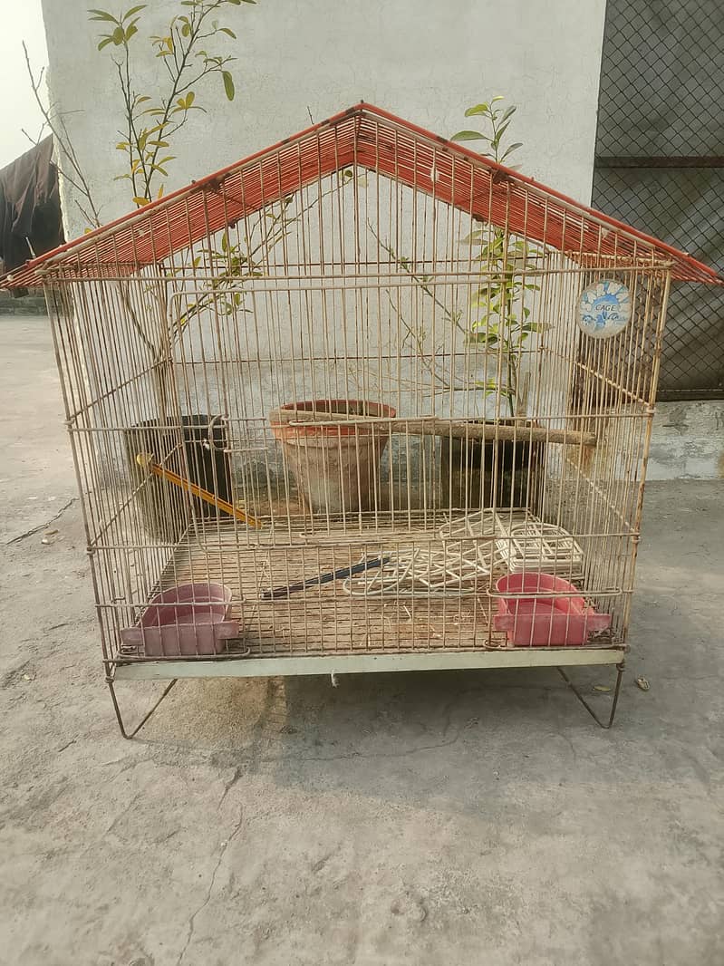 cages 1