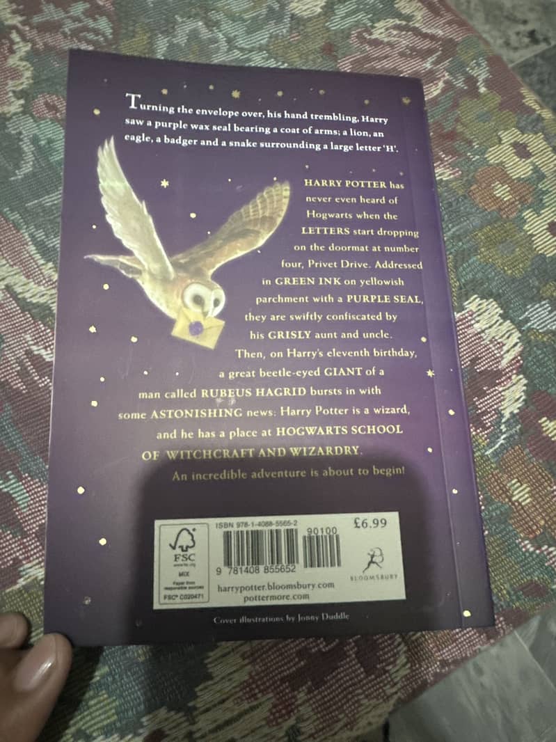 Harry Potter and philosopher stone 1