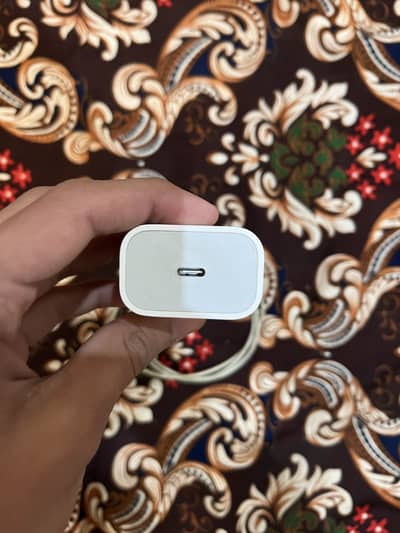 iPhone 2 pin charger