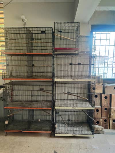 lovebird and Australian birds  cages for sale