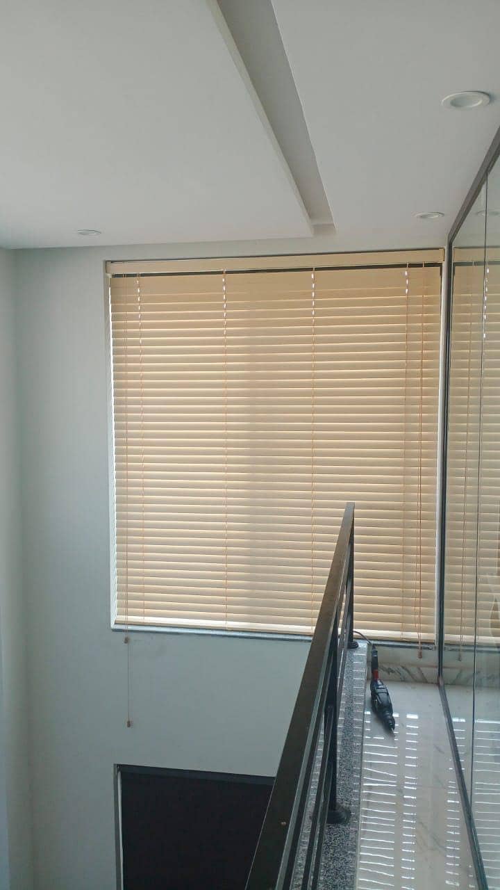 roller blind 5