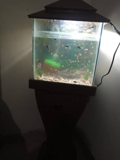 aquarium available for sale