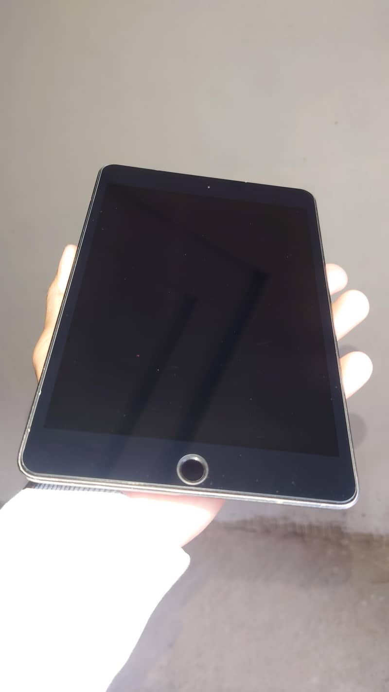 Ipad Mini 5 0