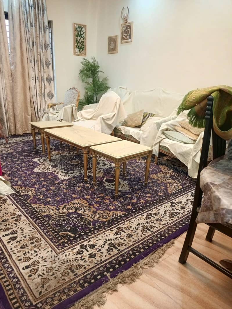 Carpet Large, beautiful 2