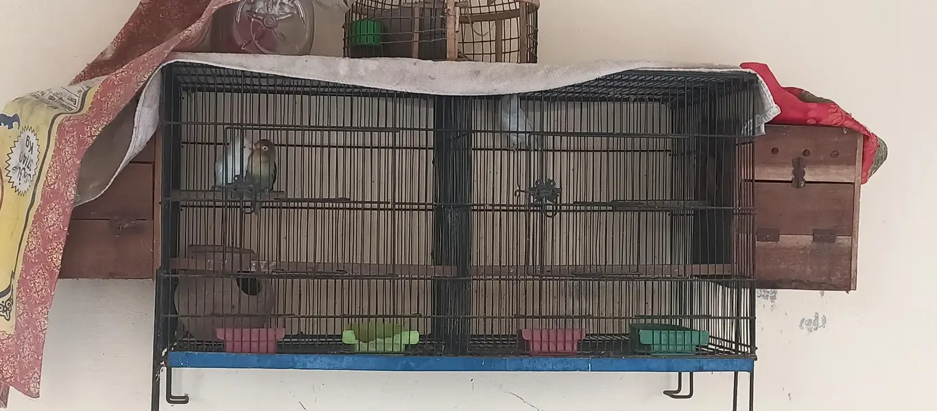 urgent for sale — photo 2