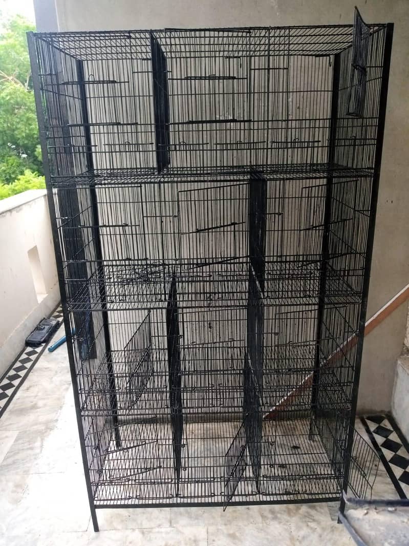Bird cage 1