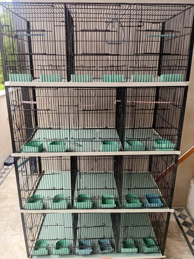 Bird cage 7