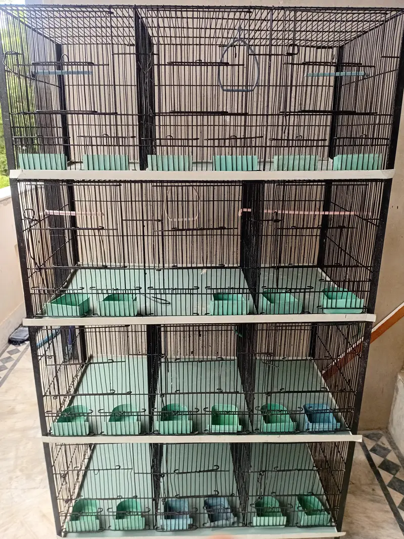 Bird cage — photo 8