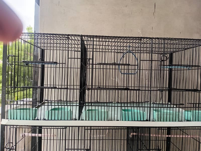 Bird cage 8