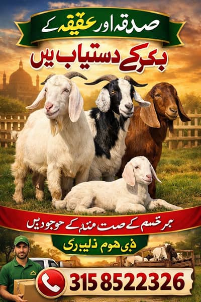 Sadqay aur Akikay ke Bakre Dastiyab – Sehatmand aur Baray -  Goat