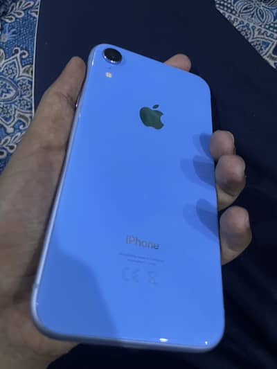 iPhone XR lush condition