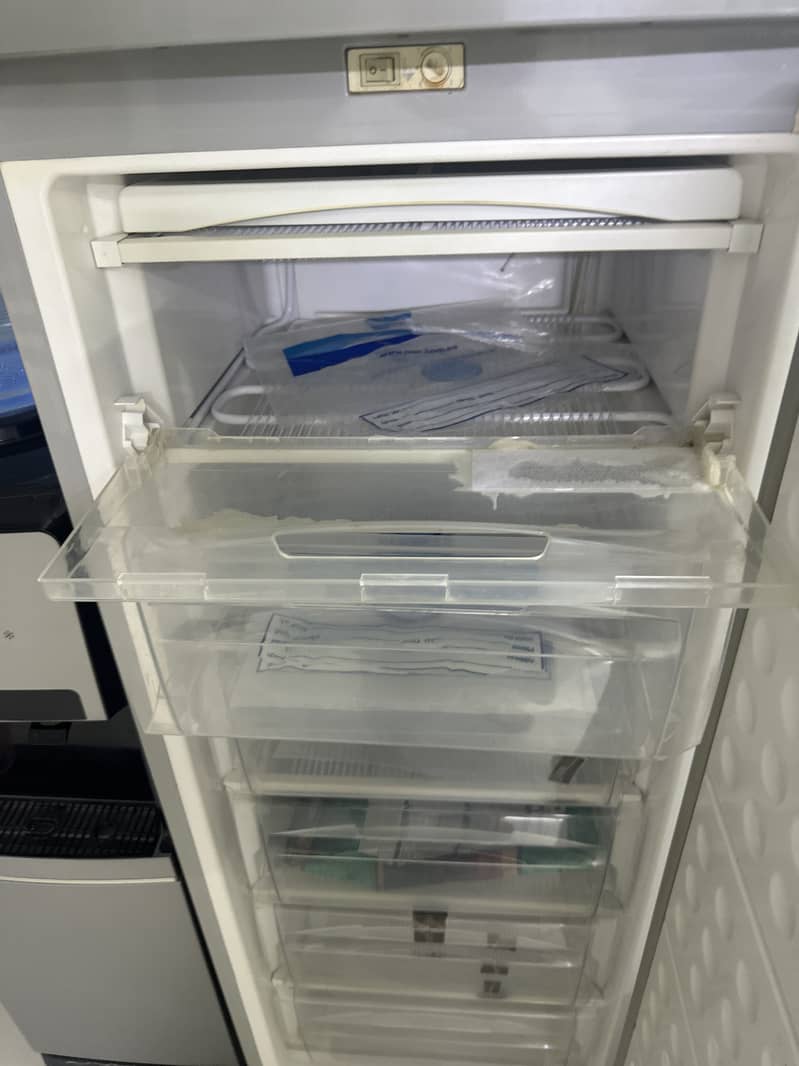 Vortical deepfriezer 2