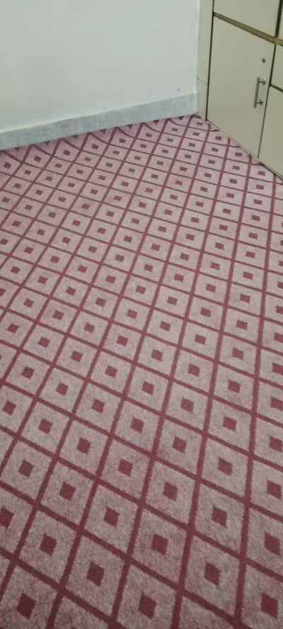 Carpet brand new