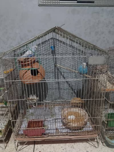 Cages for sale