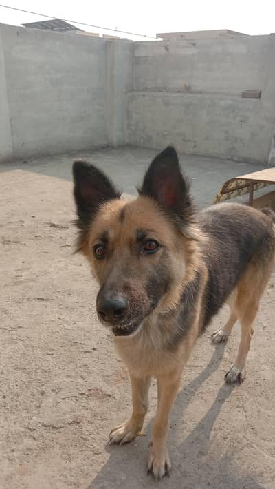 urgent sell price will be negotiate