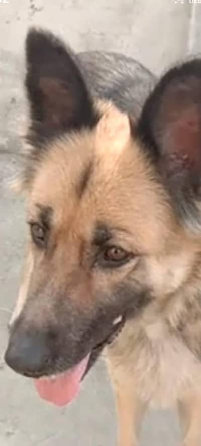 urgent sell price will be negotiate