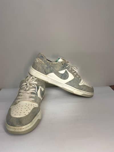 Nike Brand Shoe