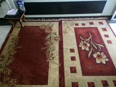 venus company carpet