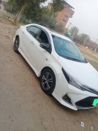 altis grandi new model available for rent