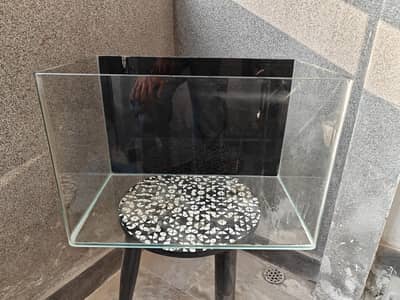 One piece Aquarium - Chinese