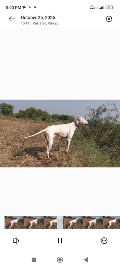 Ravi breed kaatha Speed master