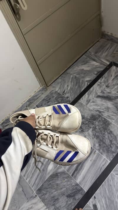 Adidas spikes shoes 2024 model