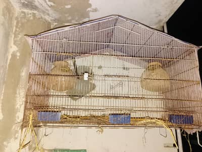 cage pinjra foulding cage