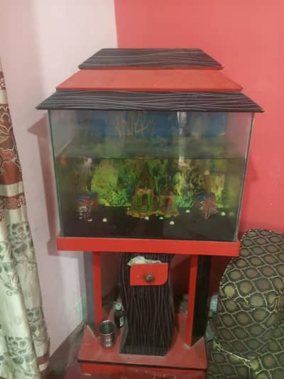 2.5 fit aquarium with 2 fish New karachi