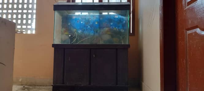 Aquarium call and what's ap 03158202571