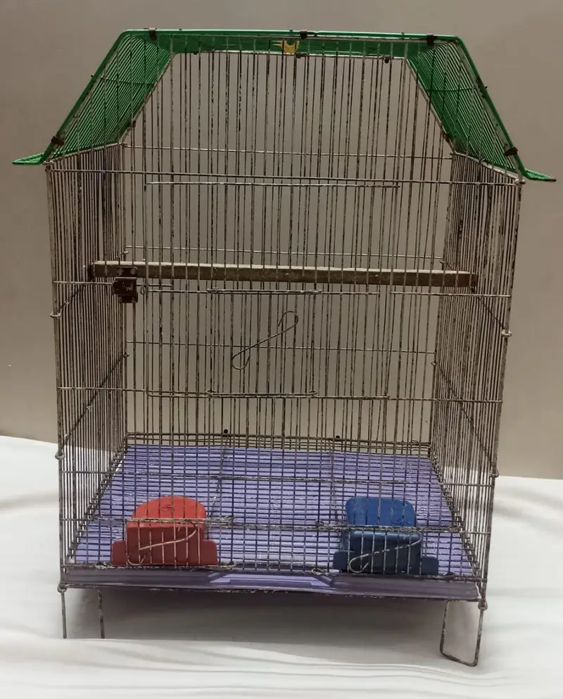 Smooth Cage Available Size 2 Fit × 1.5 Fit