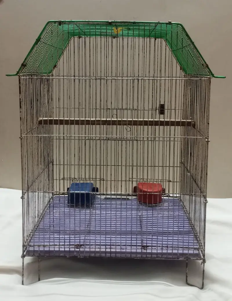 Smooth Cage Available Size 2 Fit × 1.5 Fit — photo 2