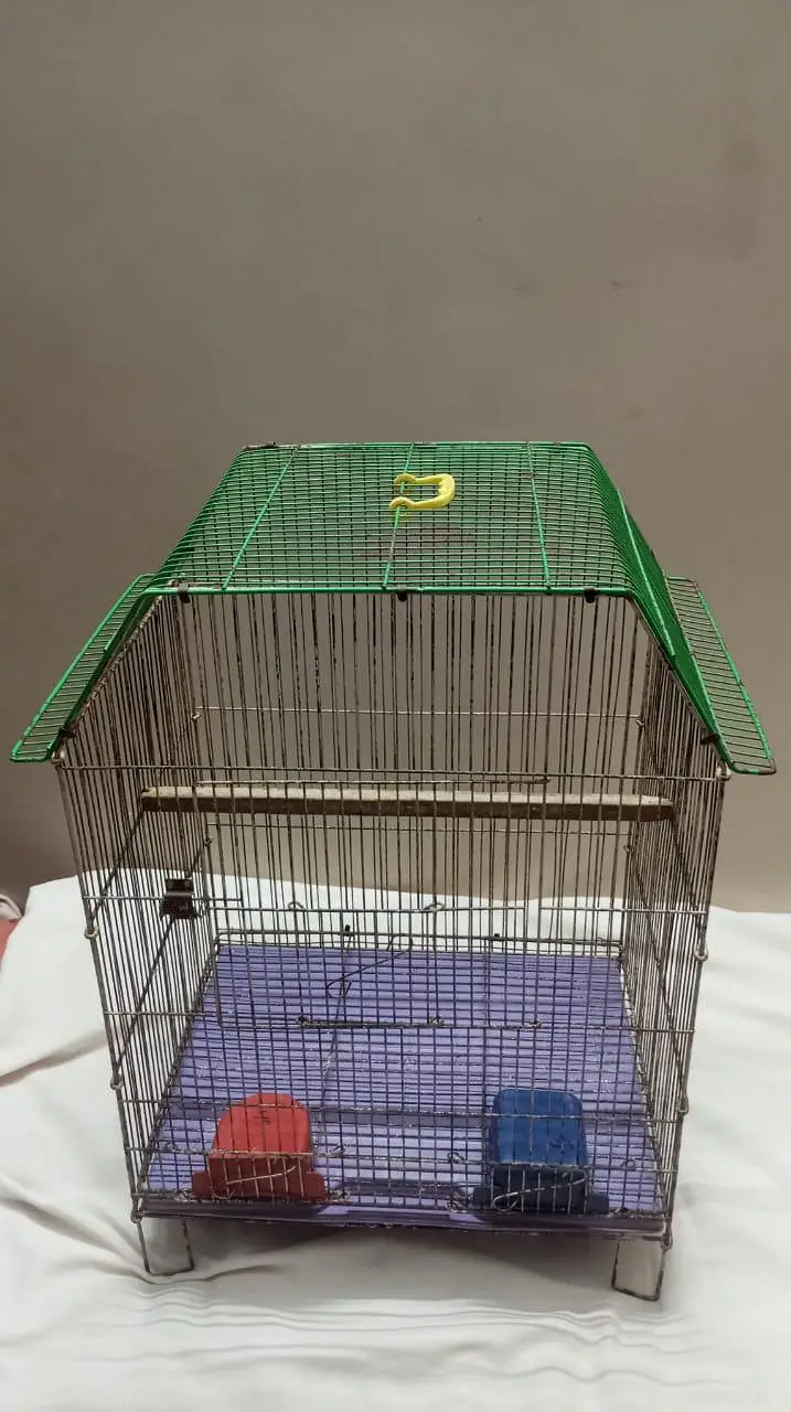 Smooth Cage Available Size 2 Fit × 1.5 Fit — photo 5