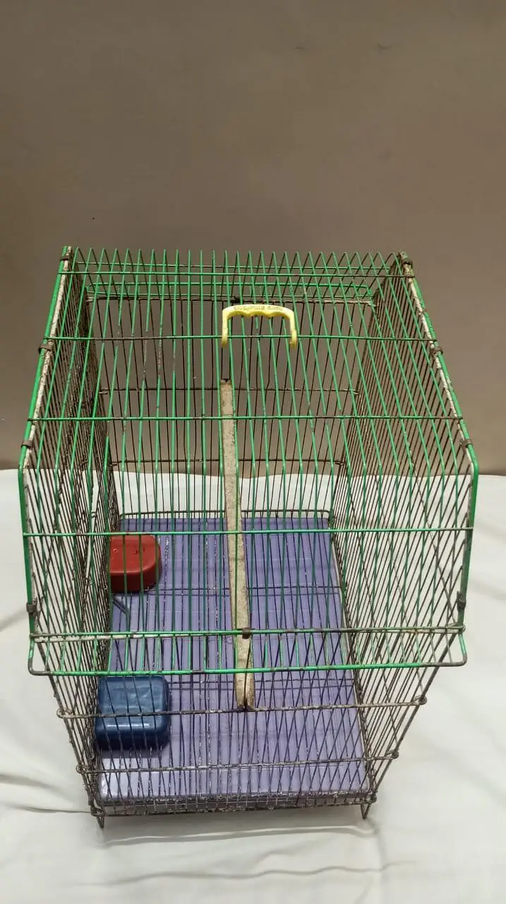 Smooth Cage Available Size 2 Fit × 1.5 Fit — photo 6