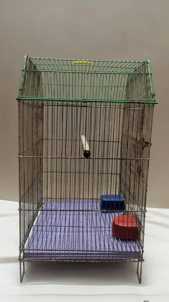 Smooth Cage Available Size 2 Fit × 1.5 Fit — photo 8
