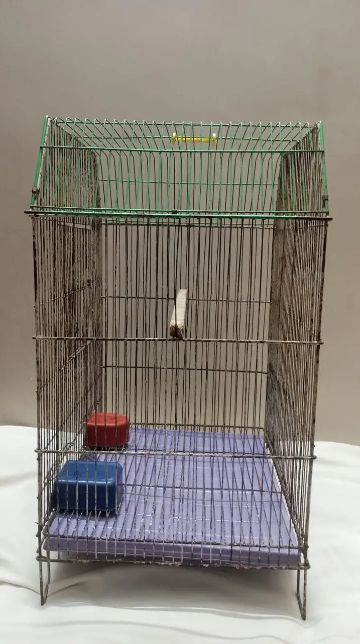 Smooth Cage Available Size 2 Fit × 1.5 Fit — photo 10