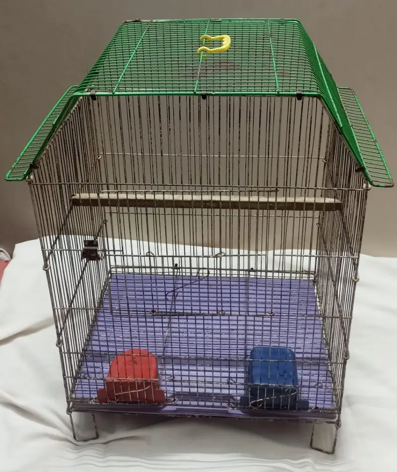 Smooth Cage Available Size 2 Fit × 1.5 Fit — photo 11
