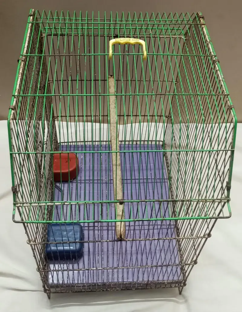 Smooth Cage Available Size 2 Fit × 1.5 Fit — photo 12