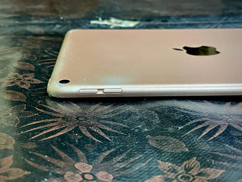 Ipad mini 5 6