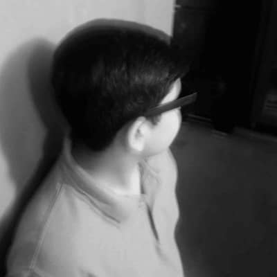 mesum Zaidi