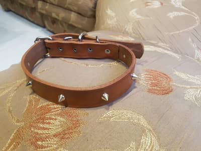 Leather Dog collar