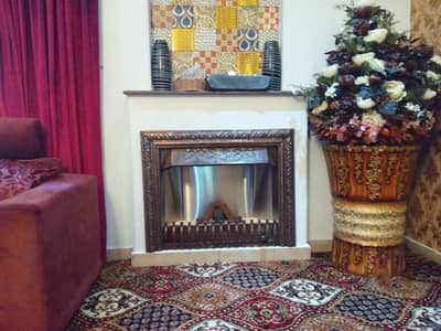 Gas fire place / fire place / fireplace / Electric fire place