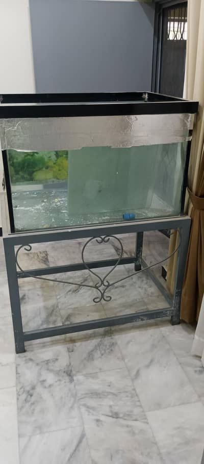 Fish Aquarium