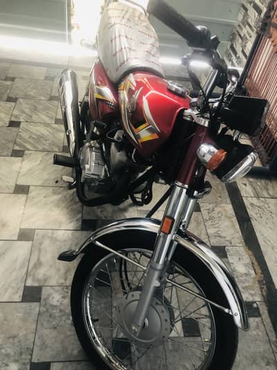 Honda125 aplidfor