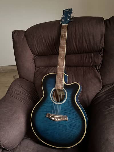 Guitar Acoustic Levin Land