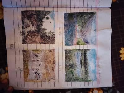 Assalamualaikum sir mujhy job ki bhott zda zrort h Meri shadi qareeb h