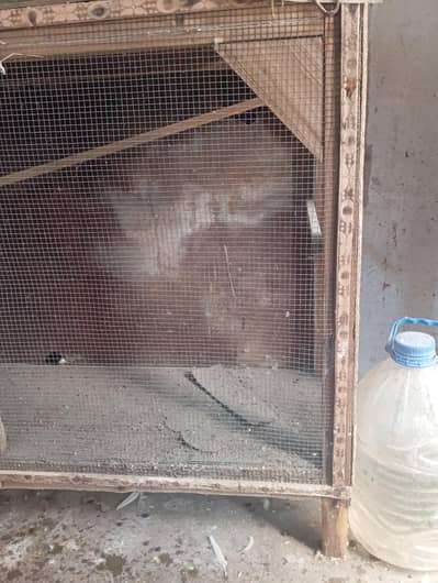 wood cage single porshion pinjra only call